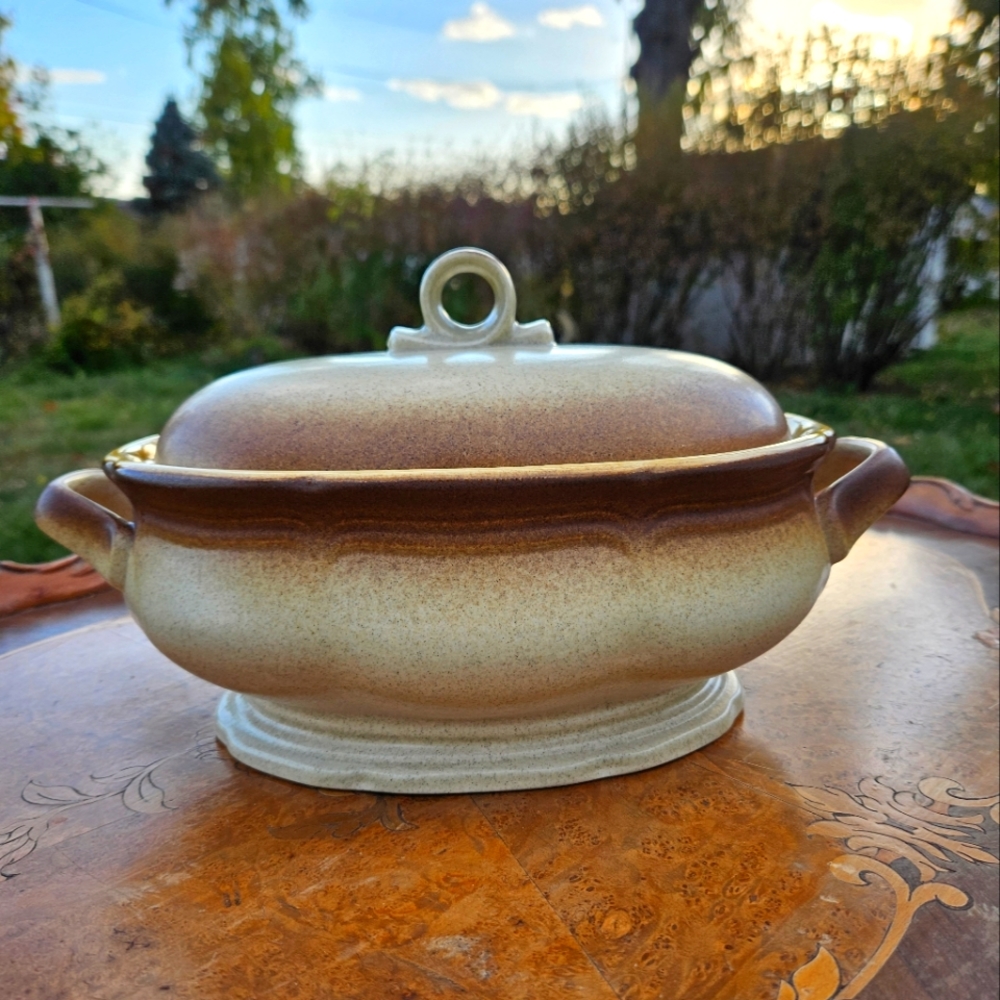 Mikasa Whole Wheat E 8000 Oven to Table to Dishwasher Stoneware Dish with Lid